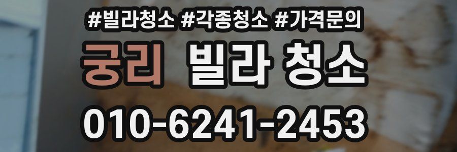 궁리 빌라 청소