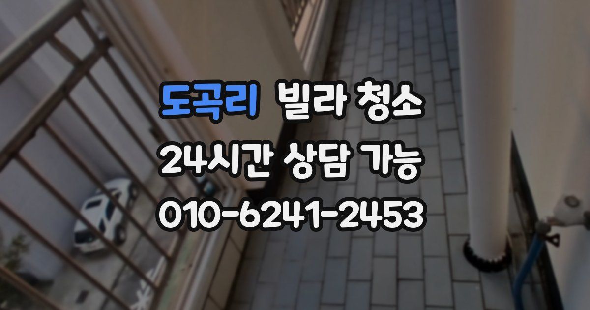 도곡리 빌라 청소