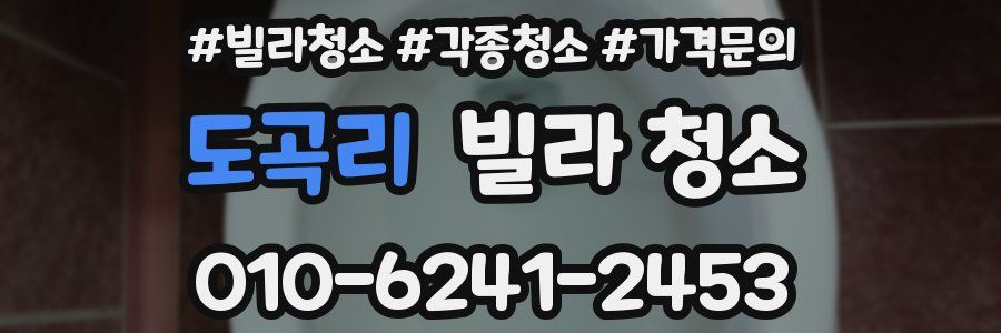 도곡리 빌라 청소