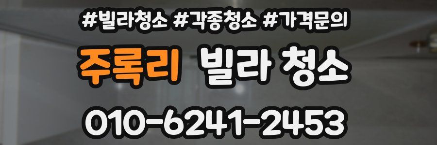 주록리 빌라 청소