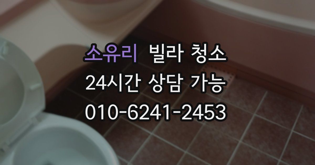 소유리 빌라 청소