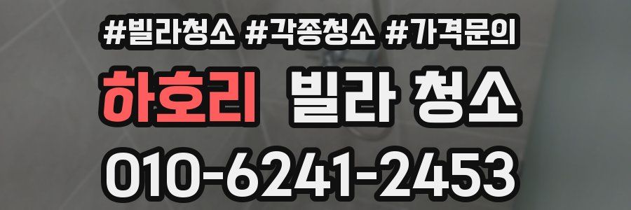 하호리 빌라 청소