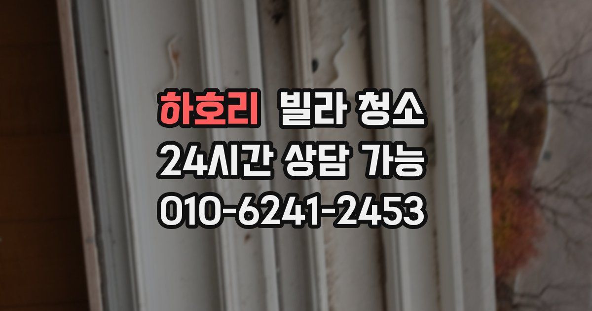 하호리 빌라 청소