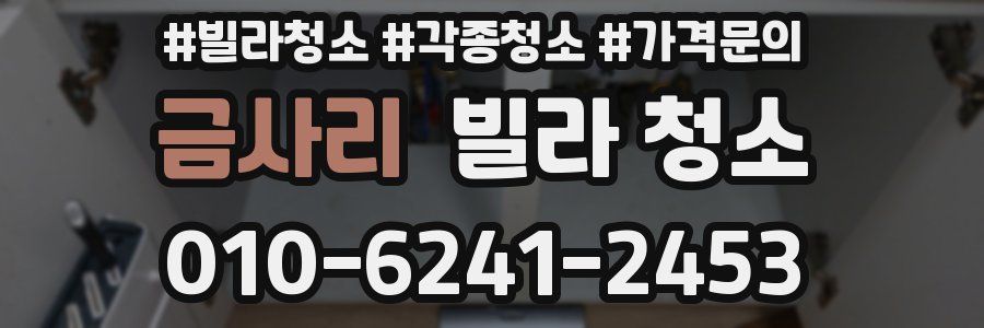 금사리 빌라 청소