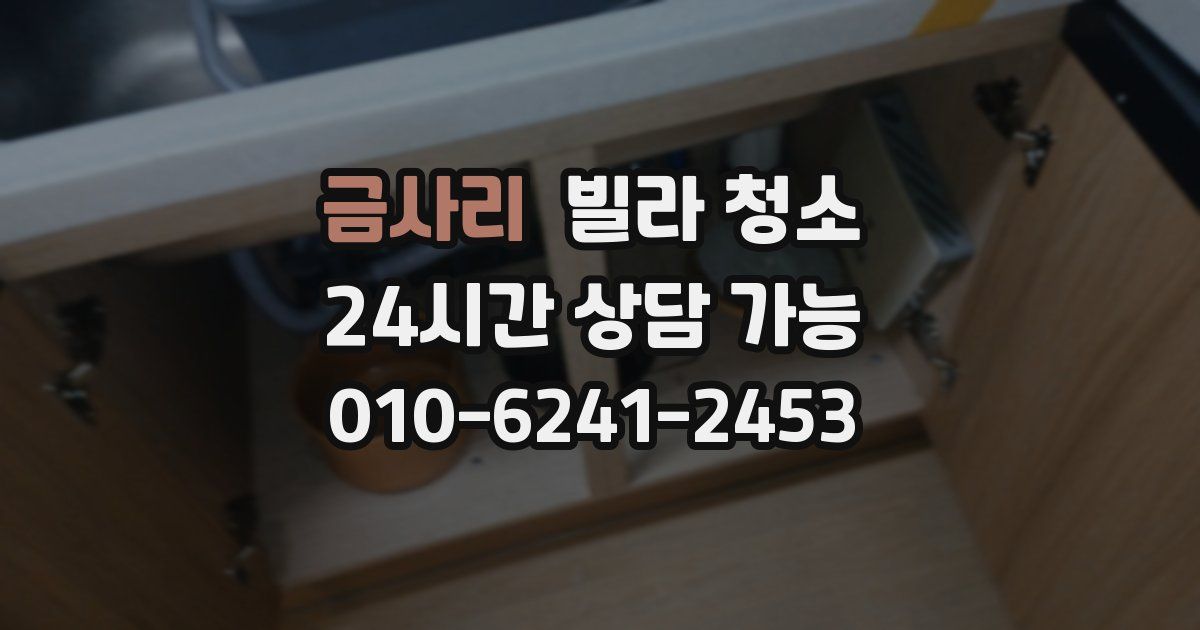 금사리 빌라 청소