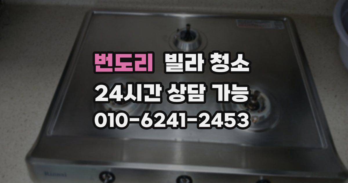 번도리 빌라 청소