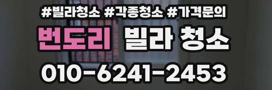 번도리 빌라 청소