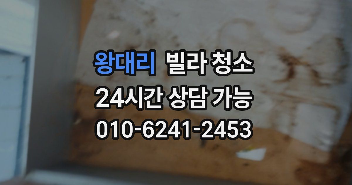 왕대리 빌라 청소