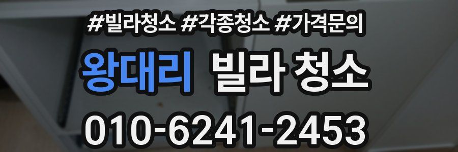 왕대리 빌라 청소