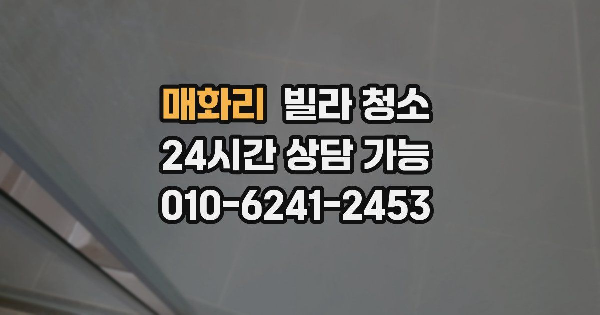 매화리 빌라 청소