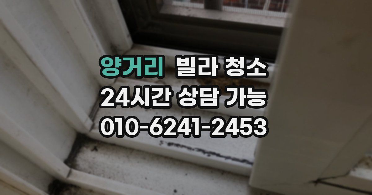 양거리 빌라 청소