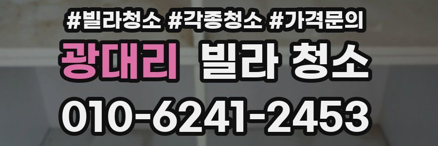 광대리 빌라 청소