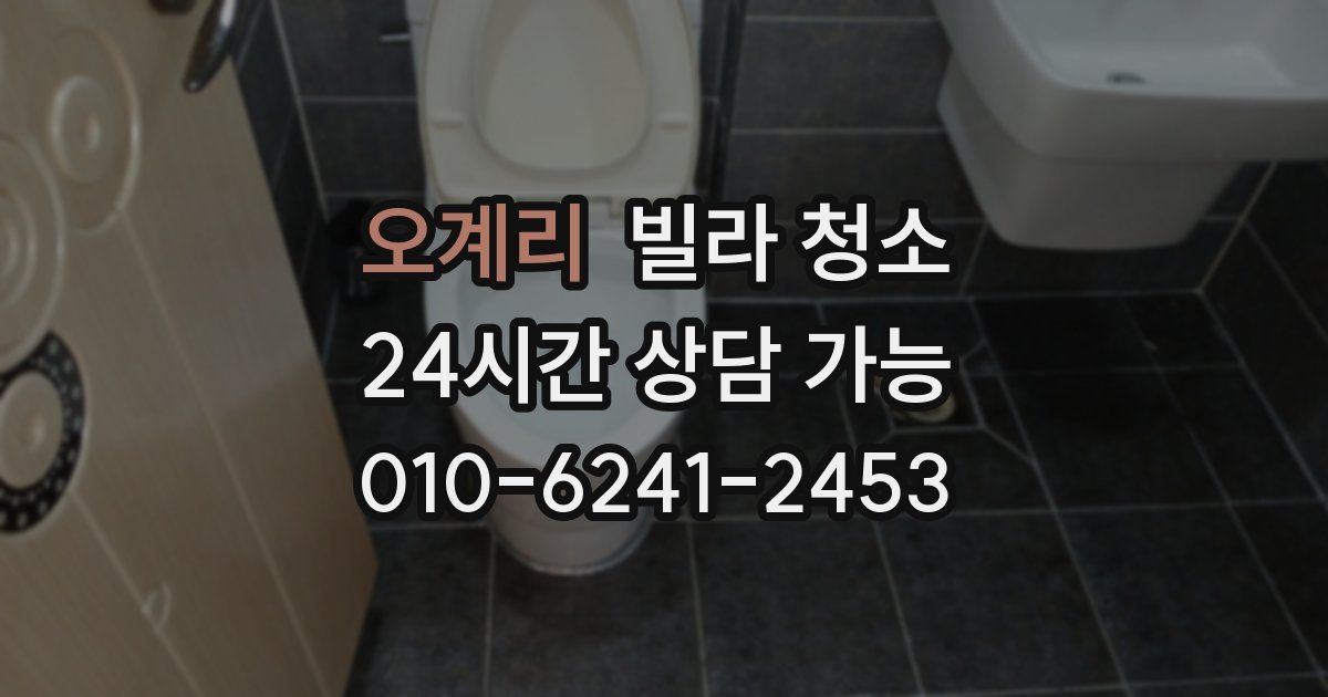 오계리 빌라 청소