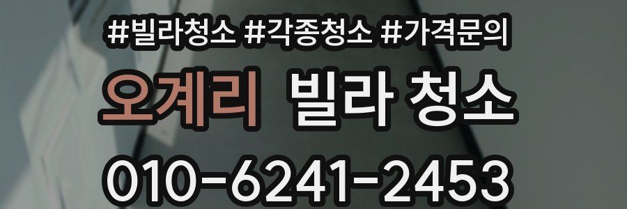 오계리 빌라 청소