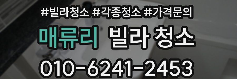 매류리 빌라 청소