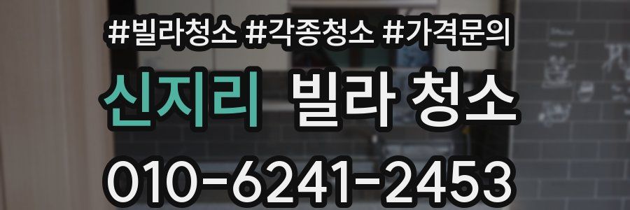 신지리 빌라 청소