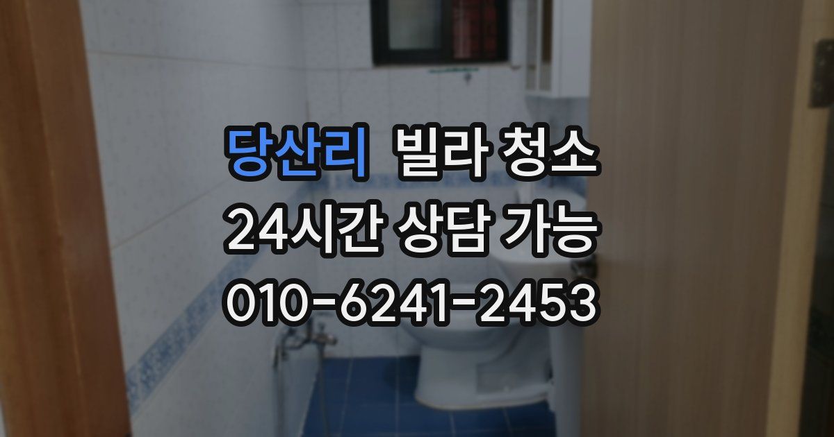 당산리 빌라 청소