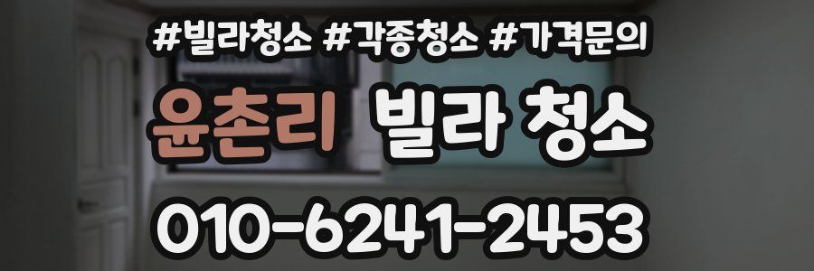 윤촌리 빌라 청소