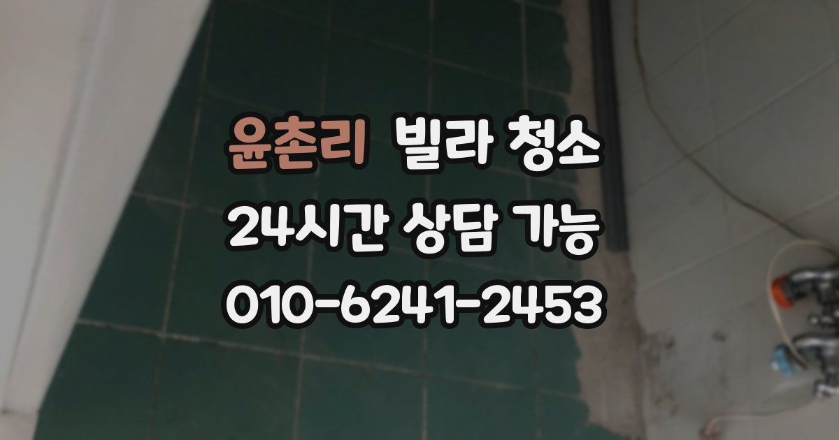 윤촌리 빌라 청소