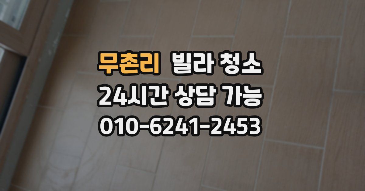 무촌리 빌라 청소