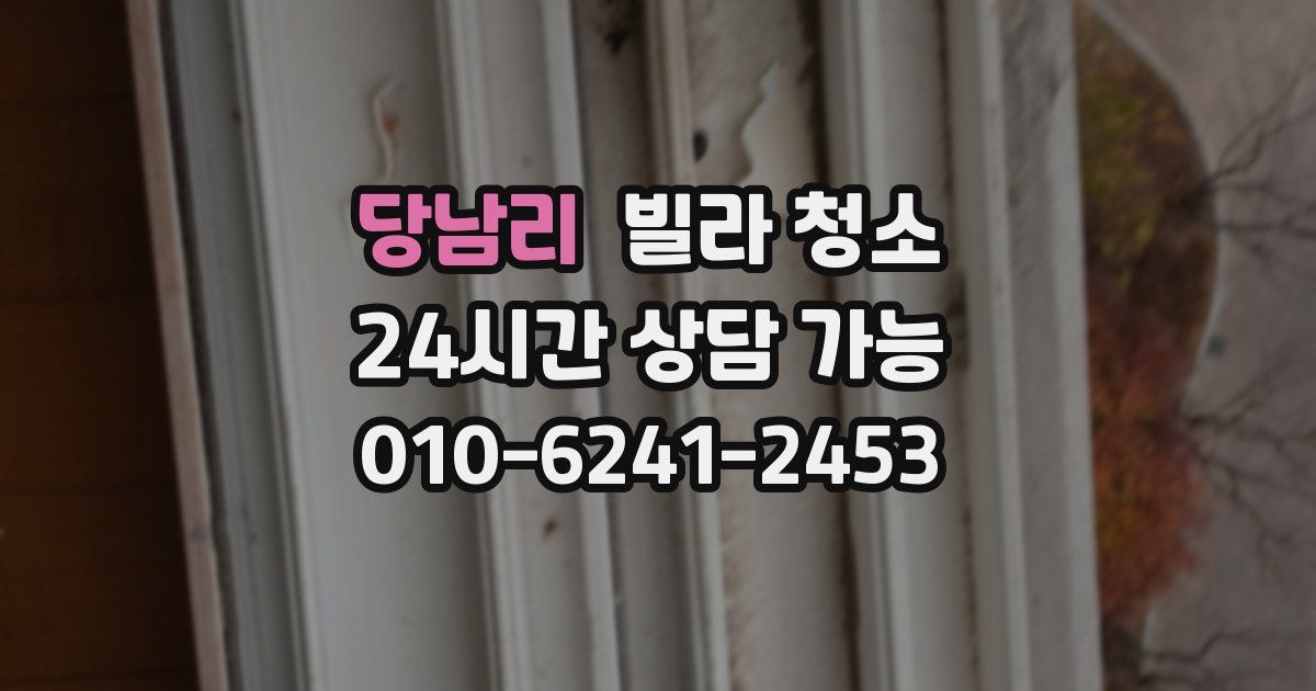 당남리 빌라 청소