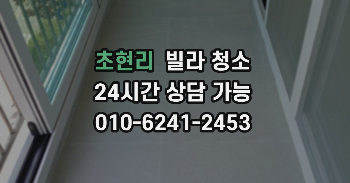 초현리 빌라 청소