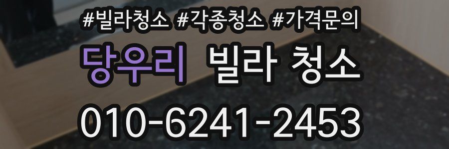 당우리 빌라 청소