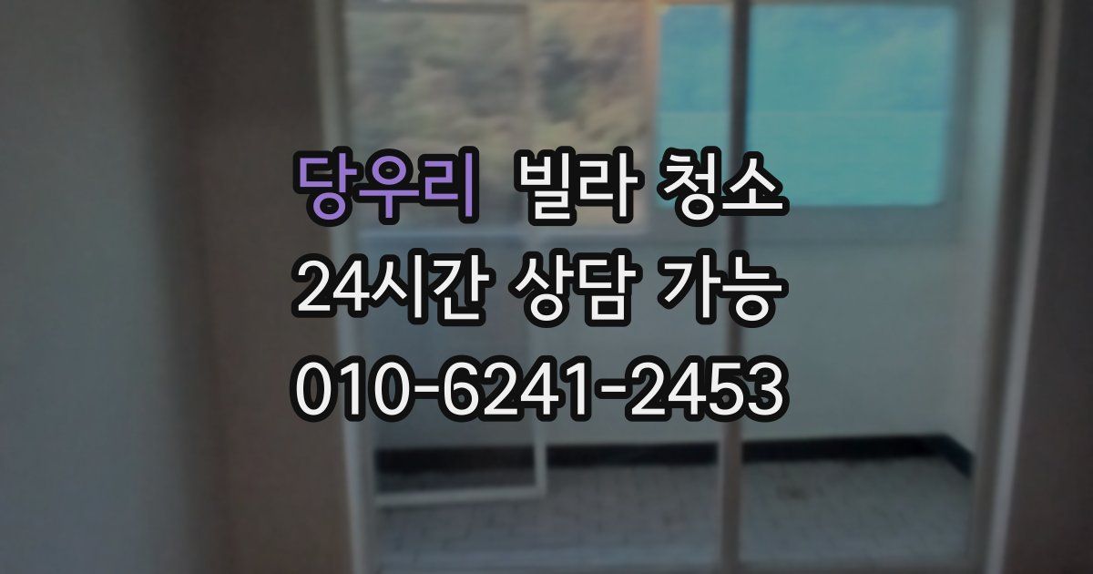 당우리 빌라 청소