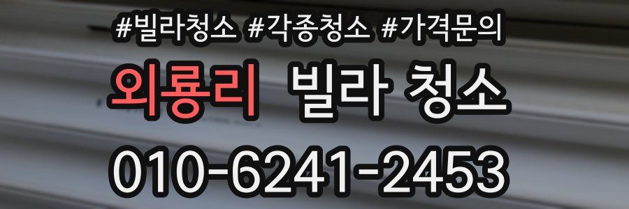 외룡리 빌라 청소