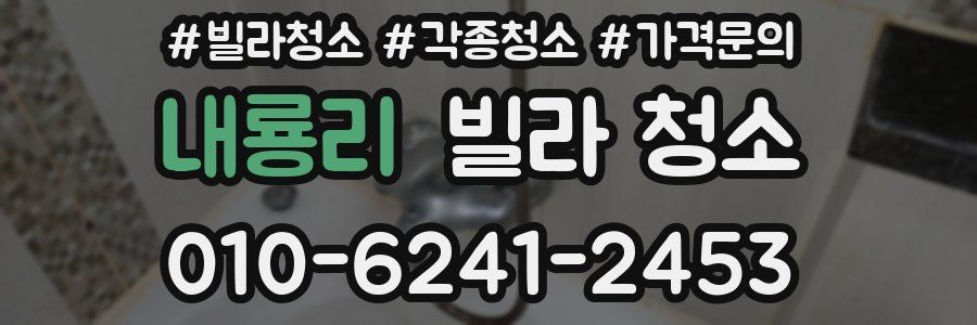 내룡리 빌라 청소