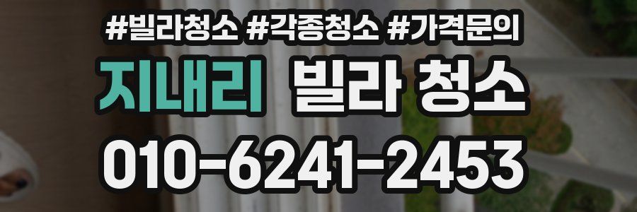 지내리 빌라 청소