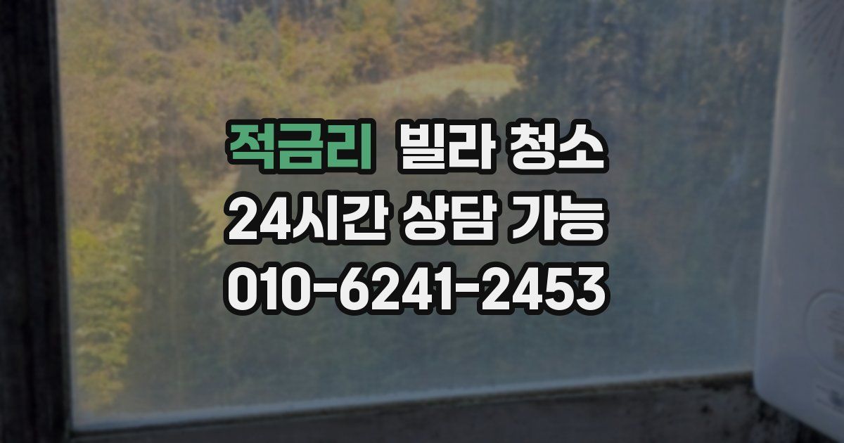 적금리 빌라 청소