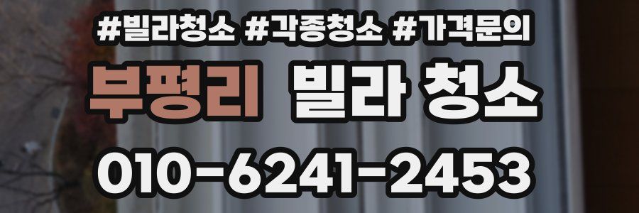 부평리 빌라 청소