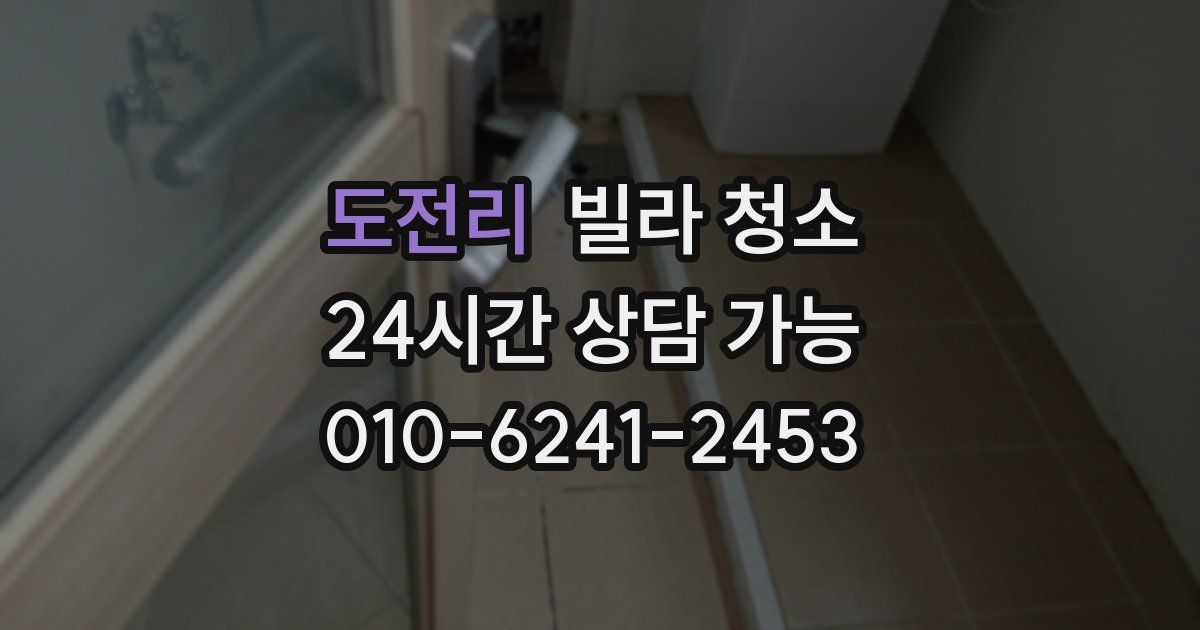 도전리 빌라 청소