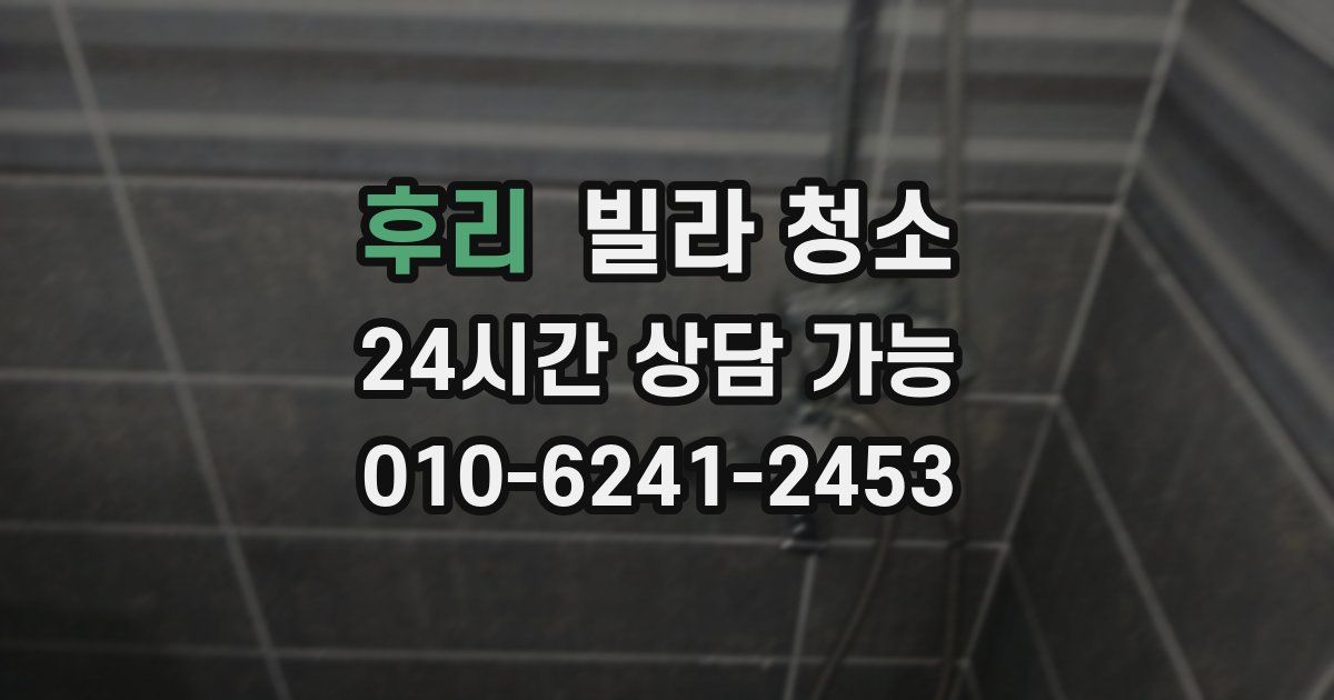 후리 빌라 청소