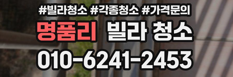 명품리 빌라 청소
