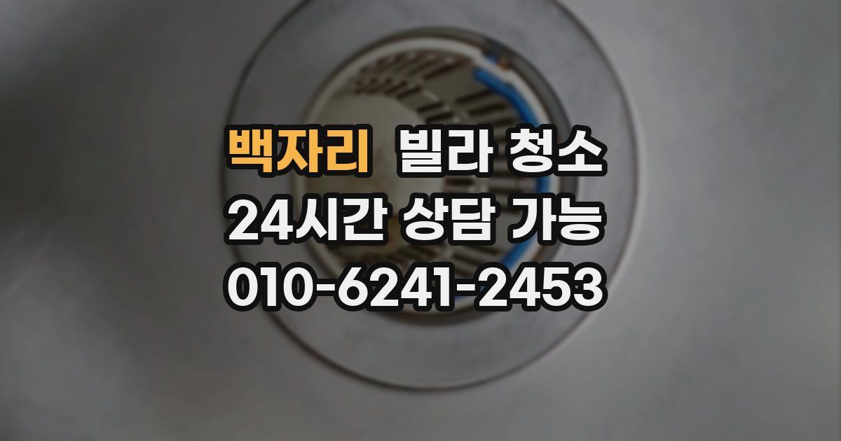 백자리 빌라 청소