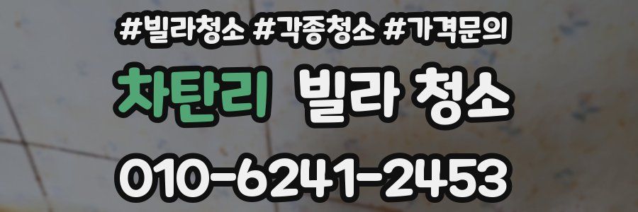 차탄리 빌라 청소