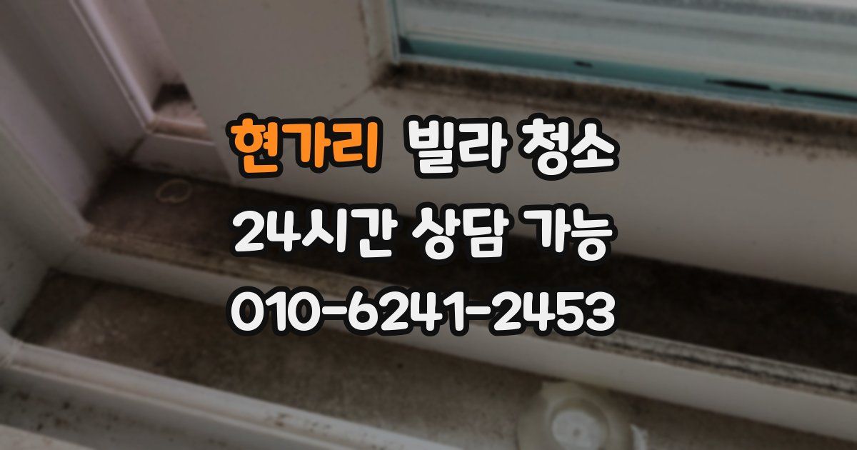 현가리 빌라 청소