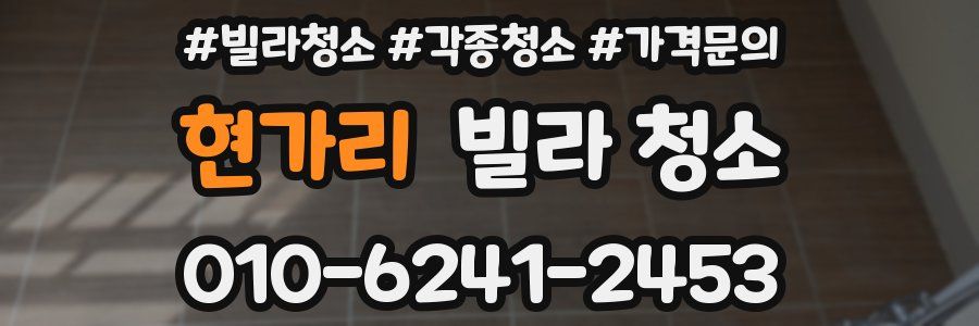 현가리 빌라 청소