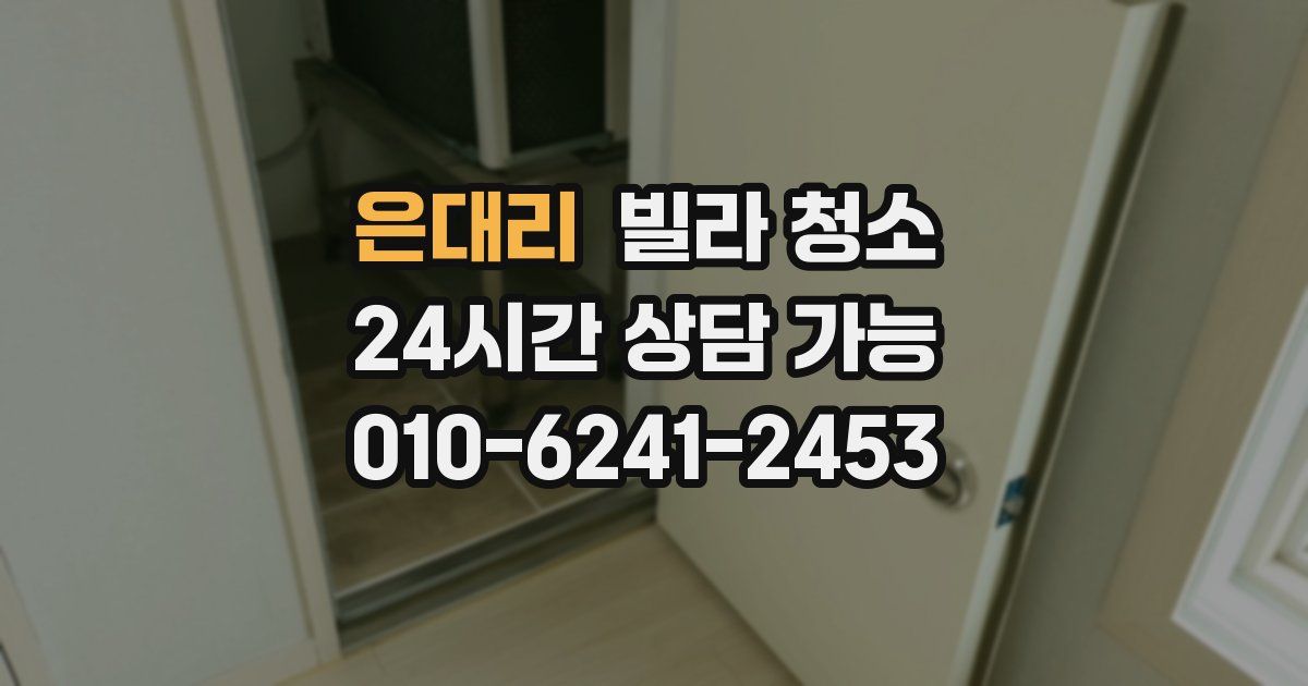 은대리 빌라 청소