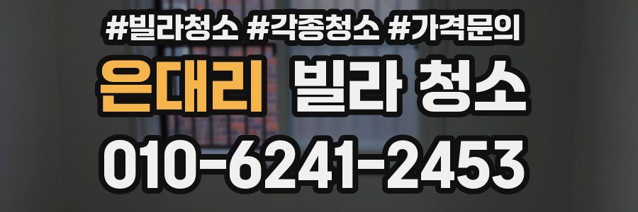 은대리 빌라 청소