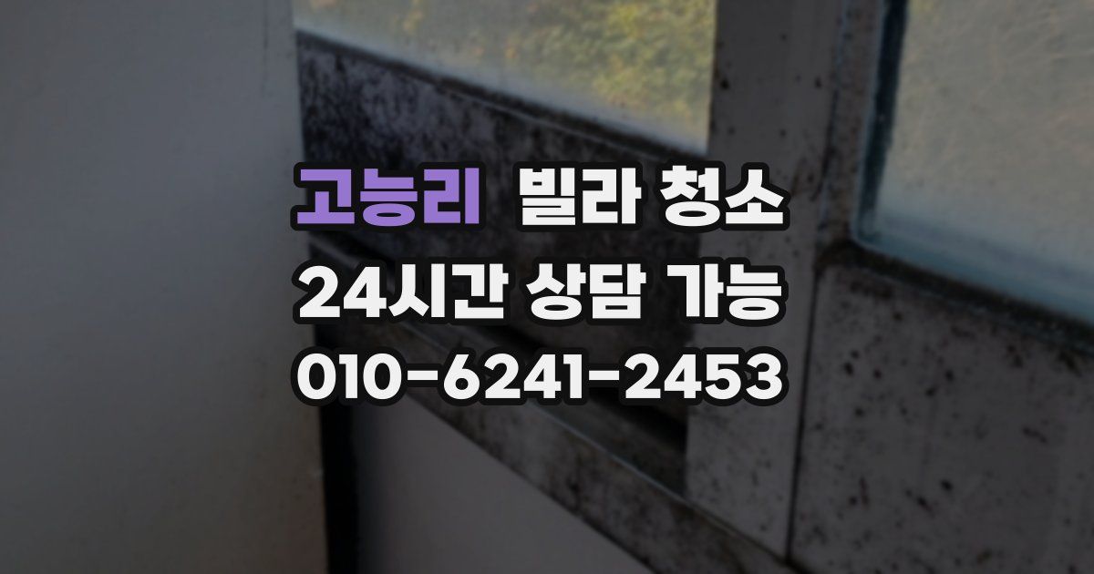 고능리 빌라 청소