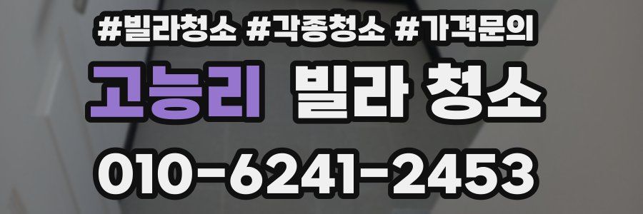 고능리 빌라 청소