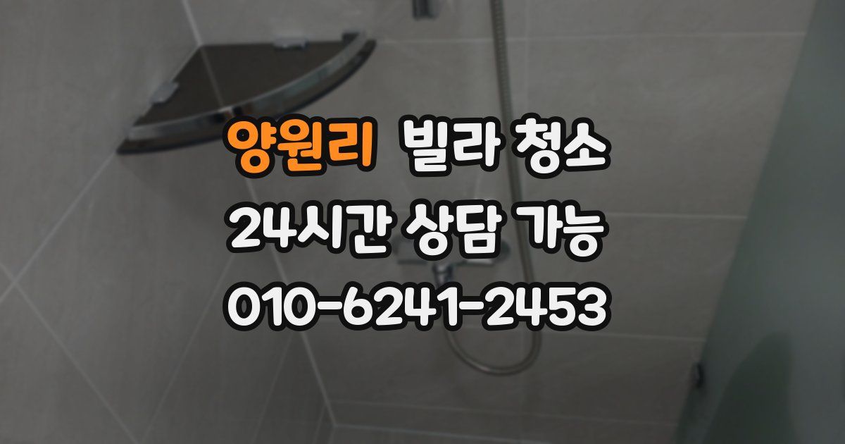 양원리 빌라 청소