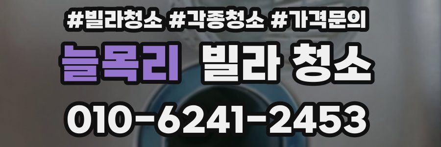 늘목리 빌라 청소