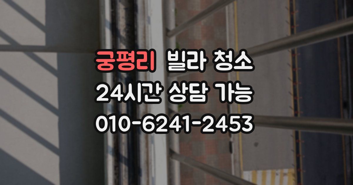 궁평리 빌라 청소