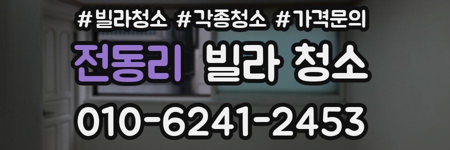 전동리 빌라 청소