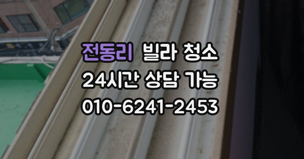 전동리 빌라 청소