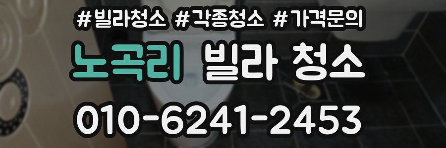노곡리 빌라 청소